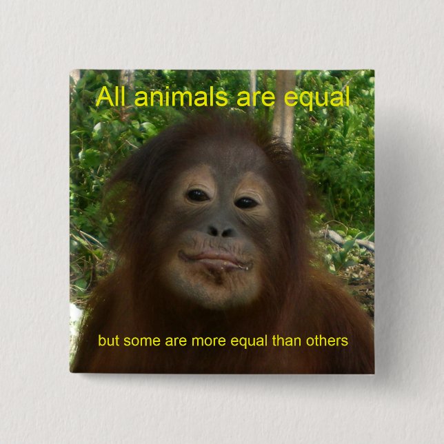 All Animals are Equal Pinback Button (Front)