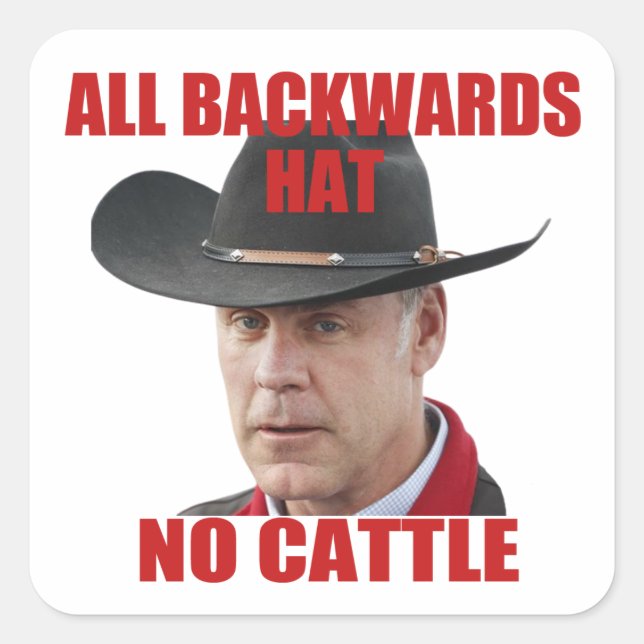 All Backwards Hat No Cattle Square Sticker (Front)