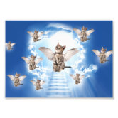 All Cats Go To Heaven