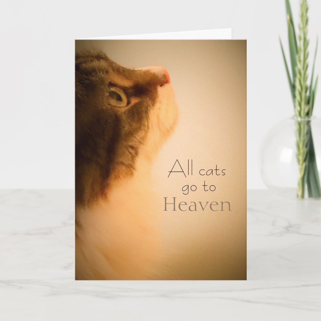 All Cats Go To Heaven Sympathy Card Zazzle