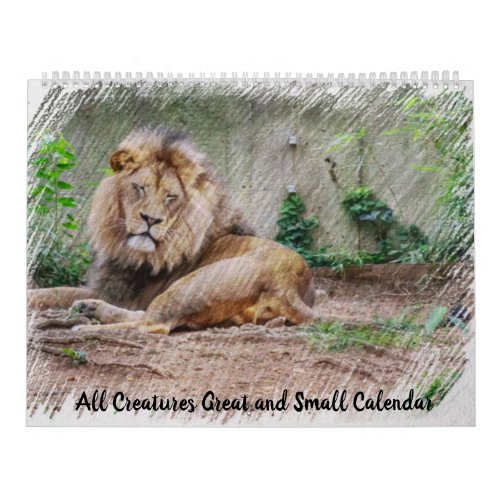 All Creatures Great and Small Calendar