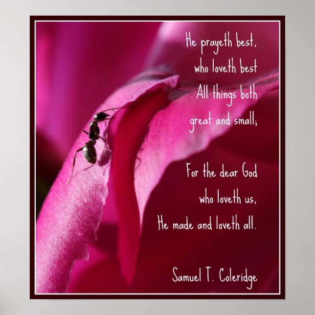 All Creatures Great and Small Poster (Front)