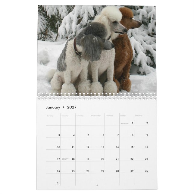 All Dogs Are From Heaven Calendar (Jan 2027)