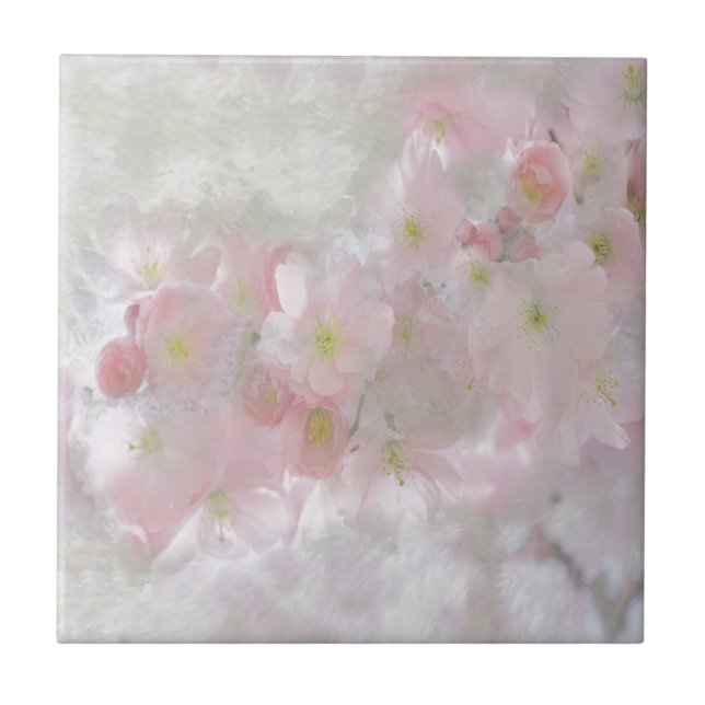 All Dreams in Pink Tile (Front)