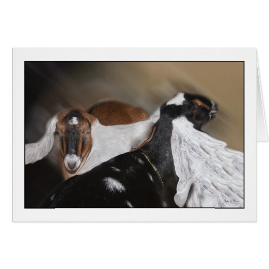 All Ears (Front Horizontal)