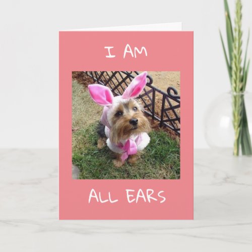 ALL EARS HOW IS IT TURNING 