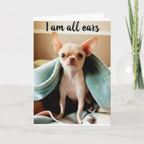 ALL EARS TO HEAR ABOUT YOUR  