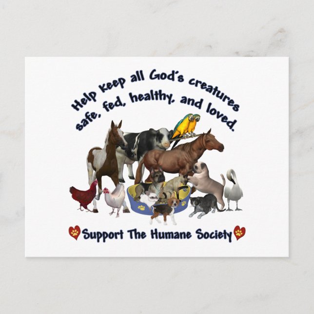 All Gods Creatures Humane Society Postcard (Front)