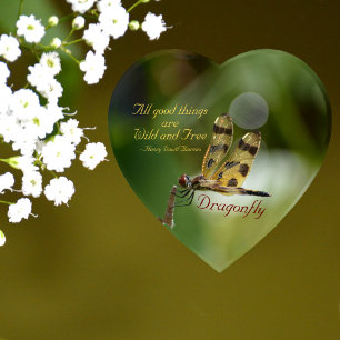 All Good Things are Wild and Free Dragonfly Paperweight