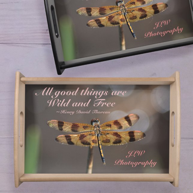 All Good Things Wild and Free Quote Dragonfly Serving Tray (Creator Uploaded)