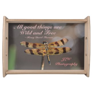 All Good Things Wild and Free Quote Dragonfly