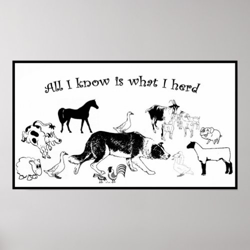 All I know is what I herdBorder Collie Print