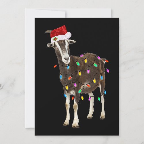 All i needs is love and a goat holiday card