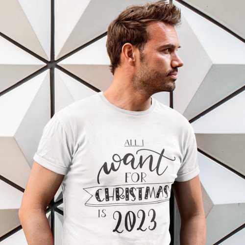 All I want for Christmas is 2023 fun T_Shirt