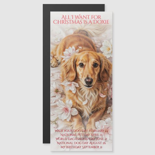 All I Want for Christmas is a Doxie