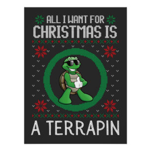 All I want for Christmas is a turtle ugly xmas swe Poster