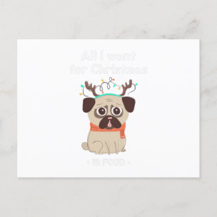 All I want for Christmas .IS FOOD. Funny Bunny Postcard