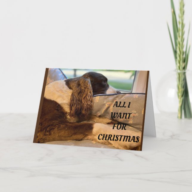 ALL I WANT FOR CHRISTMAS IS TO SEE *YOU* HOLIDAY CARD (Front)
