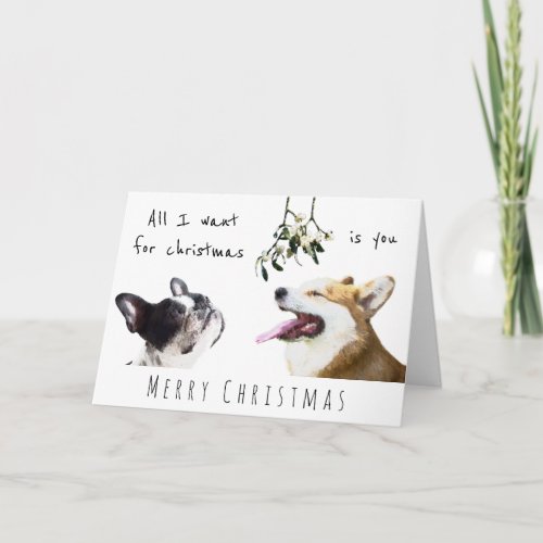 All I want for christmas is you dog love mistletoe Card