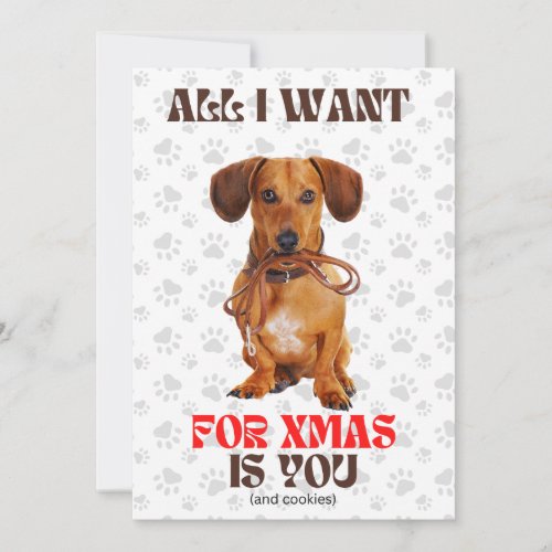 All i Want for Xmas Funny Doxie Leash  Holiday Card