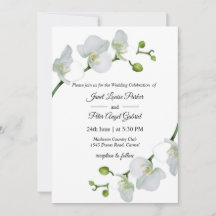All in one.Elegant white orchids Wedding