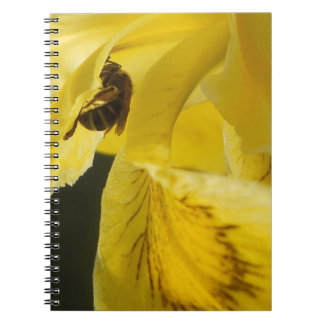 All Is Yellow Notebook