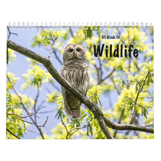 All Kinds Of Wildlife Calendar (Cover)