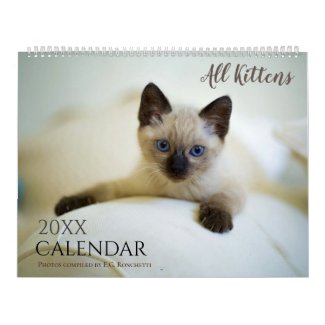 All Kittens Cute 2023 Wall Calendar Gift