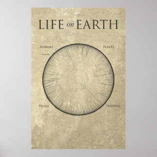 All Life on Earth, mapped out on one giant poster