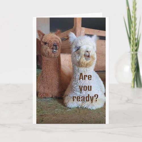 ALL LLAMAS HUMBUT THESE WILL BE FOR YOU CARD