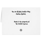 All Mine (Back Horizontal)