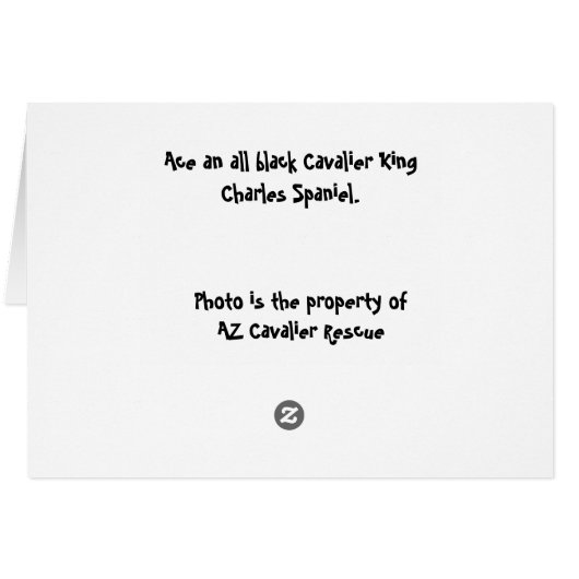 All Mine (Back Horizontal)