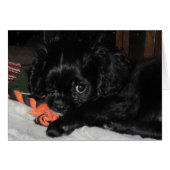 All Mine (Front Horizontal)