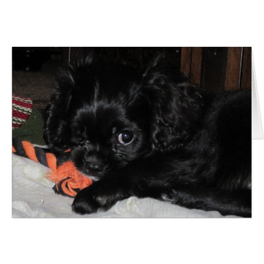 All Mine (Front Horizontal)