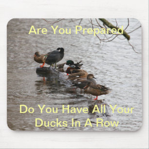 All My Ducks in A Row Mouse Pad