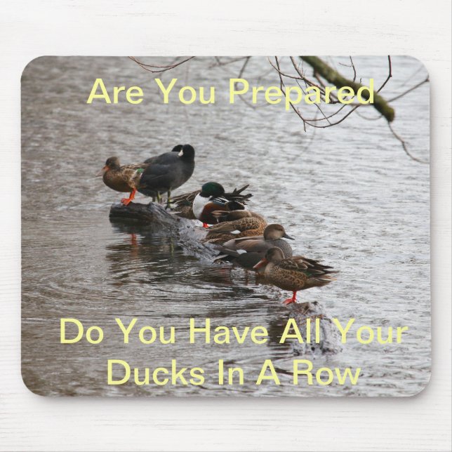 All My Ducks in A Row Mouse Pad (Front)