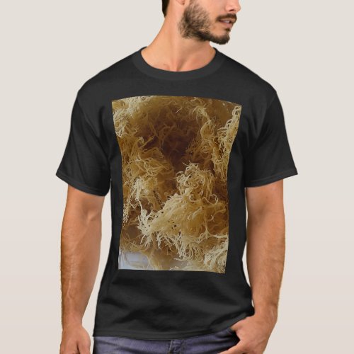All Natural amp Healthy Sun Bleached Gold Sea Moss T_Shirt
