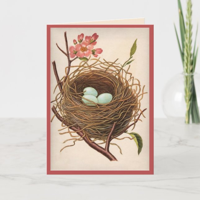 All Ocassion  Birdnest  Thank You Note Card (Front)