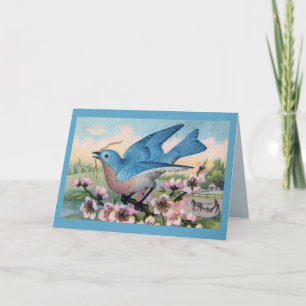 All Ocassion Bluebird Thank You Note Card