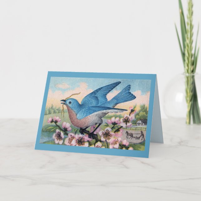 All Ocassion  Bluebird  Thank You Note Card (Front)