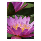 all occasion (Front)