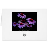 All occasion (Back Horizontal)