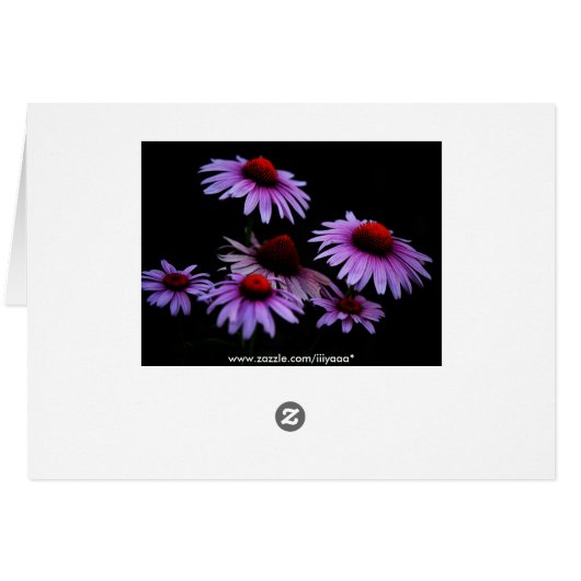 All occasion (Back Horizontal)