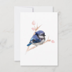 Bird Blue Jay Cards Zazzle