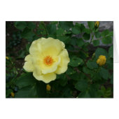 All Occasion Card (Front Horizontal)