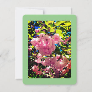 All Occasion Card, Size: 4.25" x 5.5", Paper: Matt Holiday Card