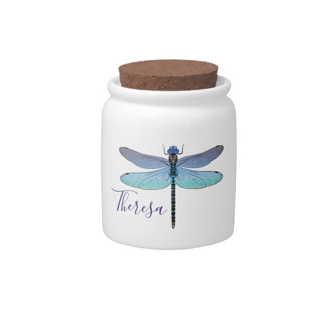 All Occasion Dragonfly Money Candy Jar (Front)