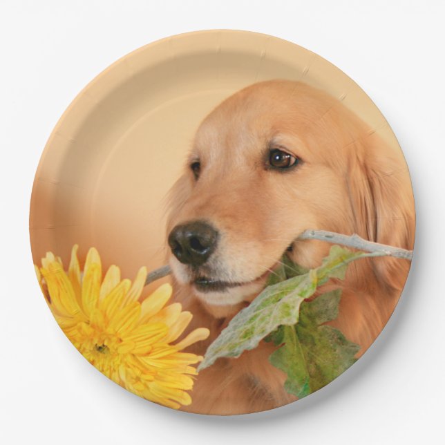 All Occasion Golden Retriever Dog With Flower Paper Plates (Front)