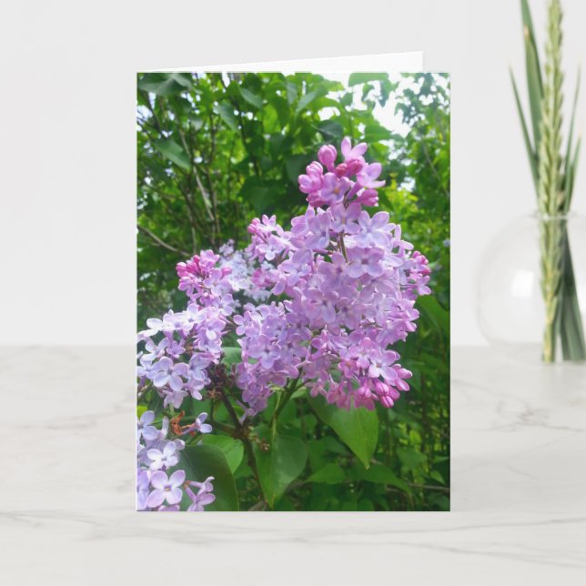 All Occasion Greeting Card (Blank Inside) (Front)