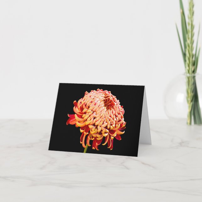 All Occasion Red Chysanthemum Note Greeting Card (Front)